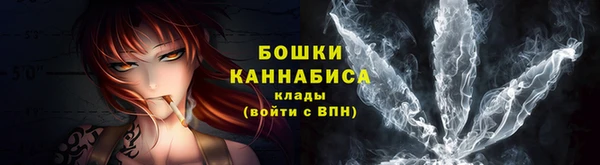 прущие крисы Белокуриха