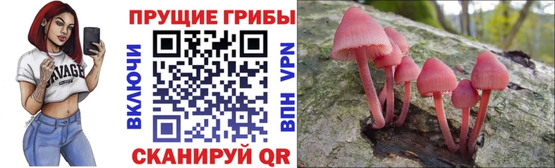 mega зеркало  Болотное  Псилоцибиновые грибы мухоморы 